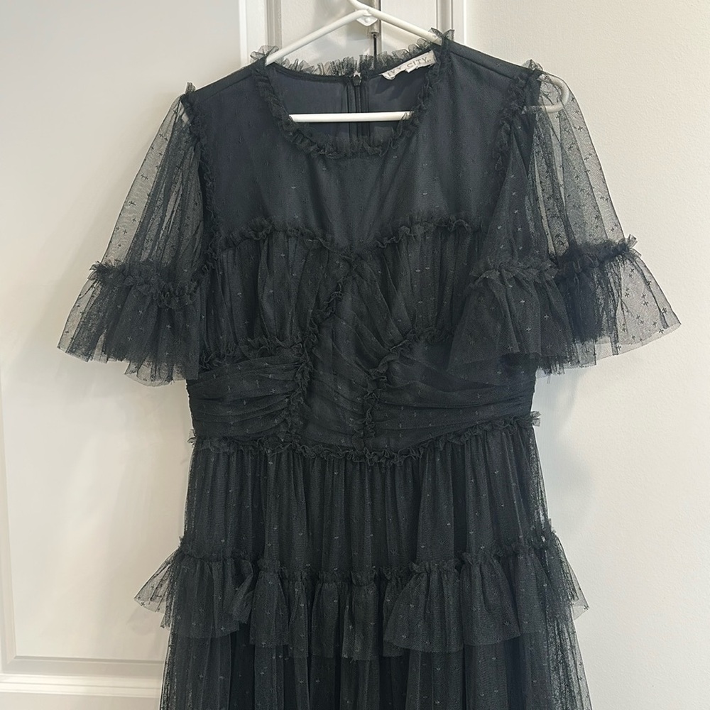 Ivy City Co Whimsical Dress